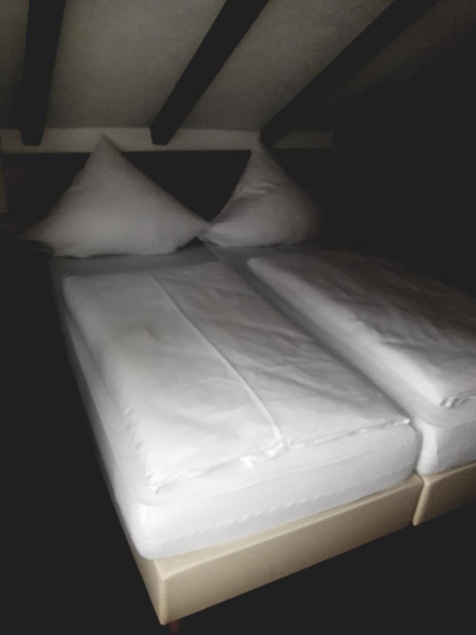 Hotel-Gasthof Talblick Esselbach エクステリア 写真